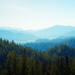 Rohr im Gebirge